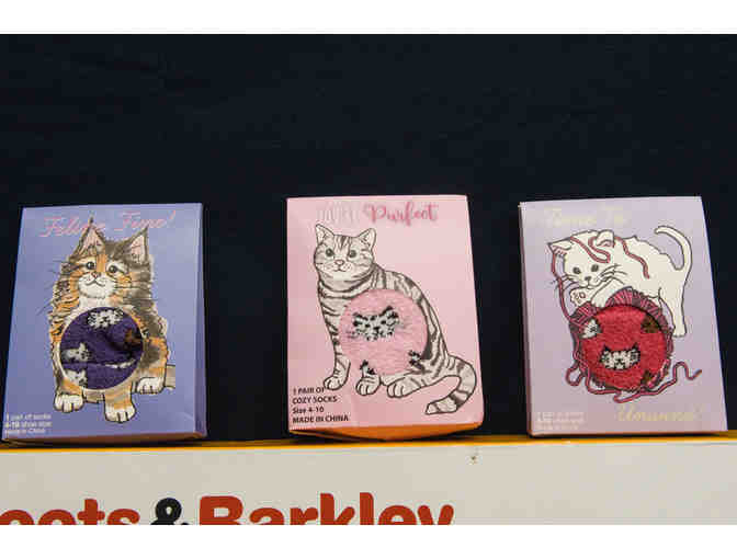 Boots and Barkley Cat Scratch House Plus