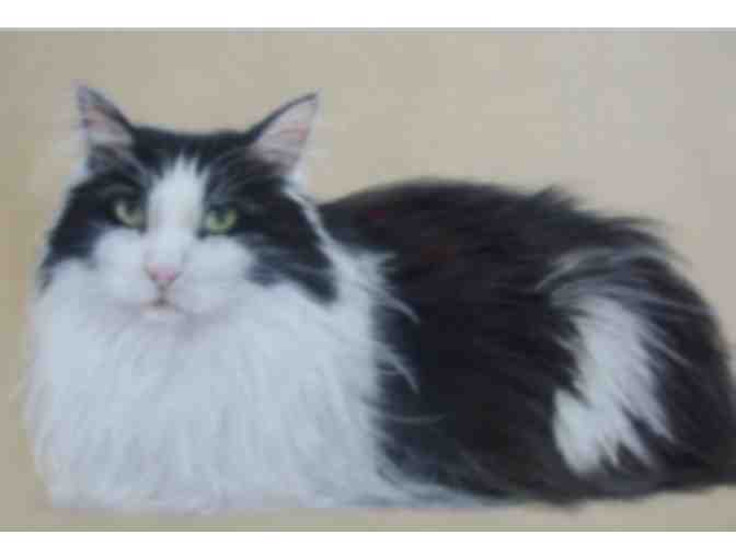 Portrait of YOUR Pet in Pastels by Artist Gail Fairbanks