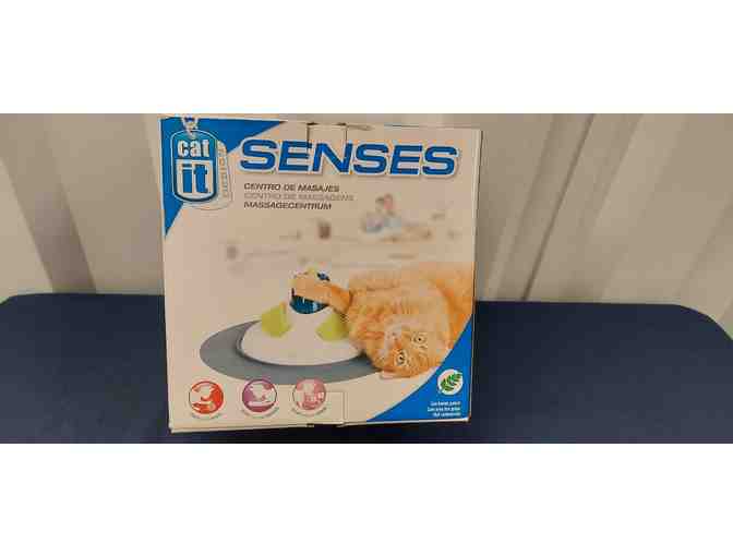 Cozy Times for Your Kitty with Gift Card