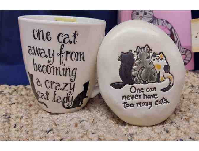 For Cats and Their People