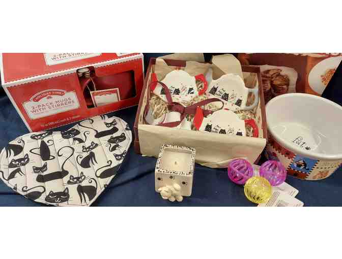 Snack Fun for You and Kitty