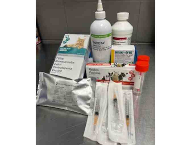 BE A HERO- BRIGHT EYES AND BUSHY TAILS!