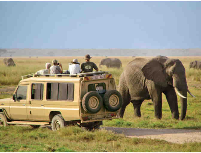 Kenya Safari Extravaganza