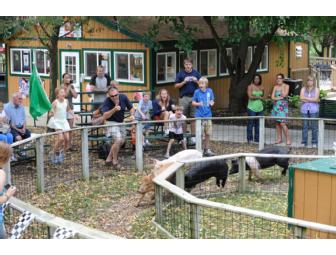 V.I.P. Car Pass for African Safari Wildlife Park in Port Clinton, Ohio