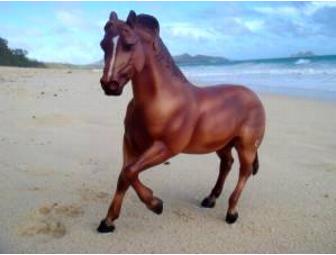 Breyer Horse Model 'Popcorn' autographed by Stacy Westfall -- Donated by Buckeye Nutrition