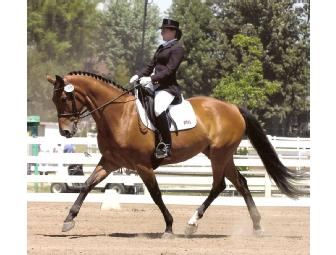 Dressage Lesson on your horse donated by Holly Jedlicka