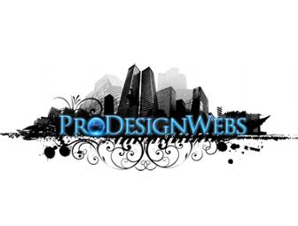 Pro Web Design Custom Internet Services