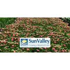 Sun Valley Group