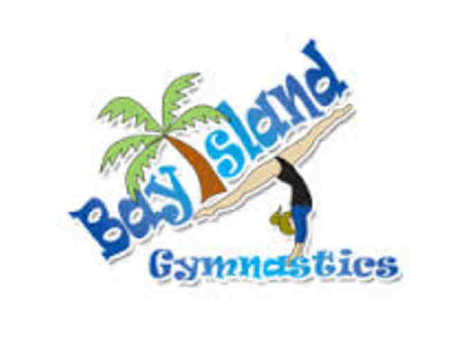1 Month of Classes at Bay Island Gymnastics - Photo 1