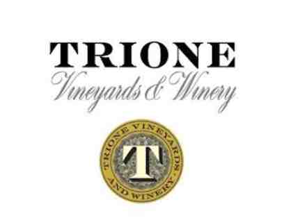VIP Tasting and Tour at Trione Vineyards and WInery