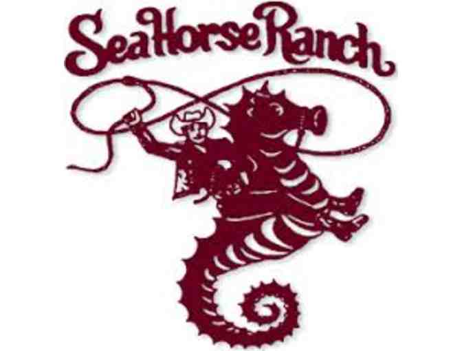 1 1/2 Hour Trail and Beach Ride for 2 at Sea Horse Ranch in Half Moon Bay - Photo 1