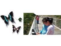 A Day at the Nature Museum