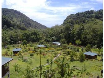 One Week Accommodations at 3 Rivers & Rosalie Forest Eco Lodge in Dominica