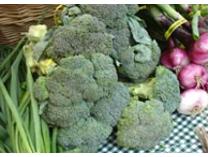 Five $10 Prairie Crossing Farmers Market Gift Certificates