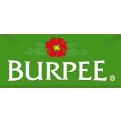 Burpee