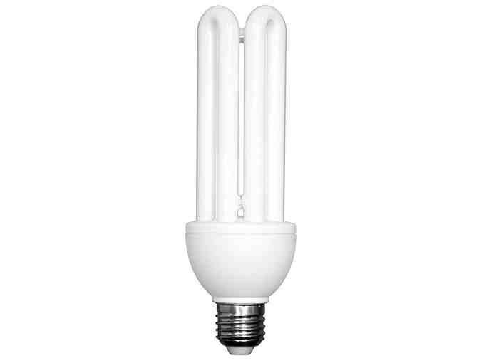 Brinks 42 Watt CFL Outdoor Security Bulb #7054 (2-Pack) - Photo 1