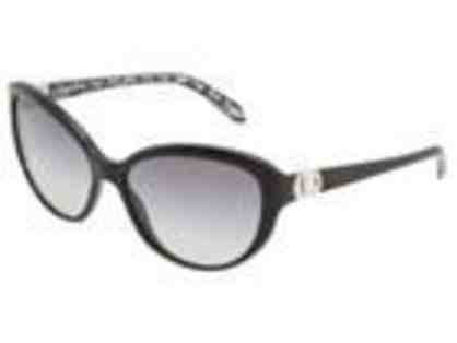 Tiffany & CO Black Ladies Sunglasses