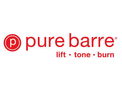 Pure Barre Total Body Work Out