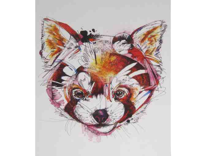 Red Panda Art Print by Abby Diamond