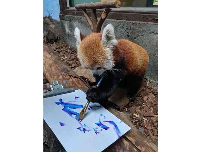Painting 'Blue & Yellow' by Red Panda Sorrel