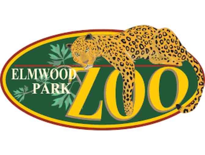 Paw Painting by 'Slash' Elmwood Park Zoo