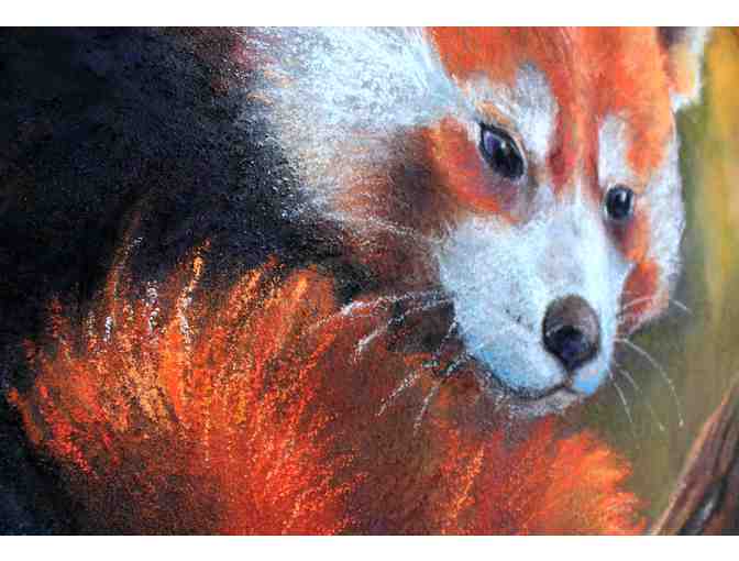 Red Panda Quiescent Painting by Cass Womack