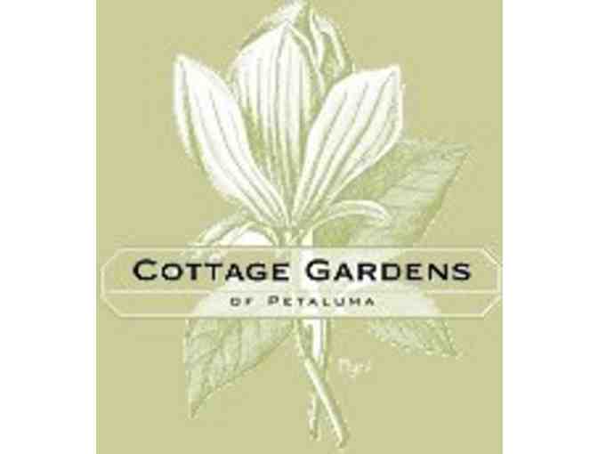 Cottage Gardens - Photo 1
