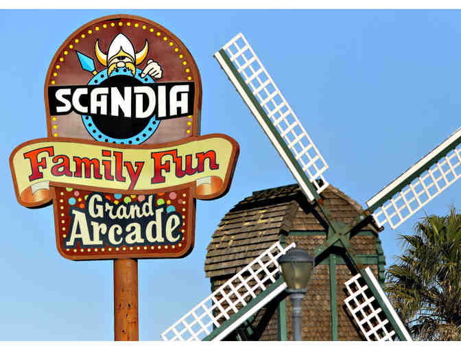 Scandia Family Fun Center - Photo 1