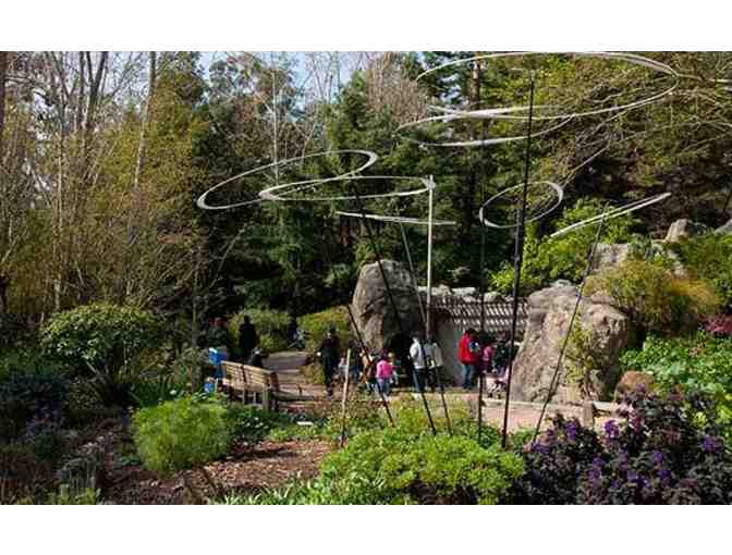 Family Fun at CuriOdyssey!