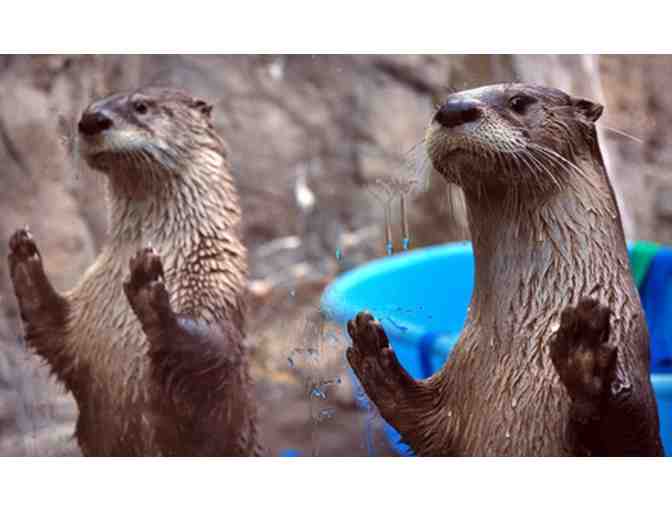 Family Fun at CuriOdyssey!