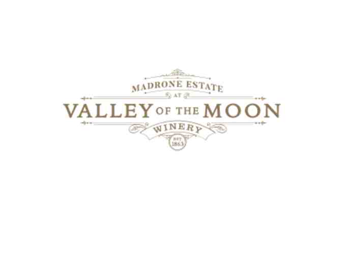 Wine Tasting around Sonoma!