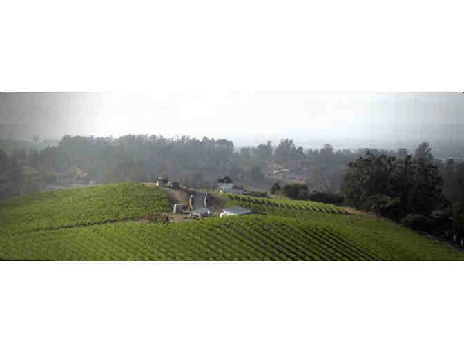 Karah Estate Vineyard