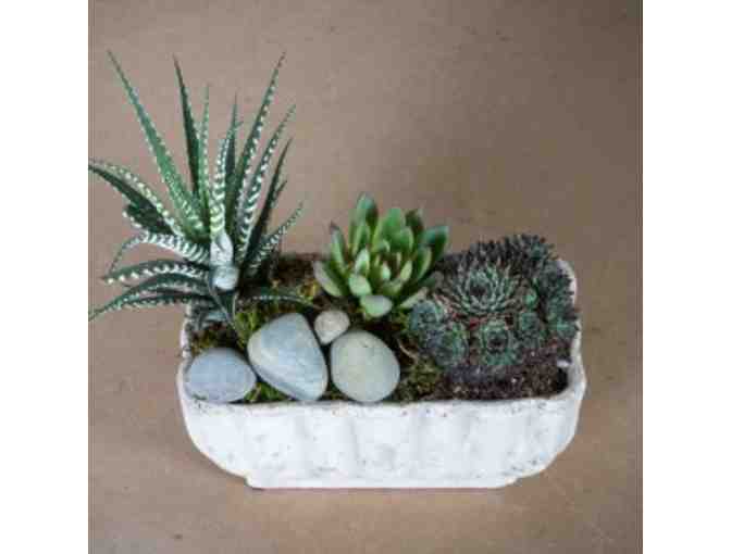 Second Street Flowers