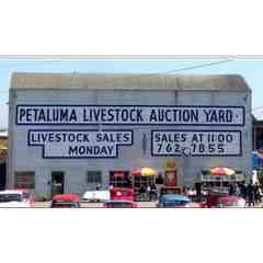 Roy's Chicago Dogs @ The Yard