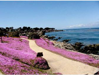 Monterey Bay Get-Away