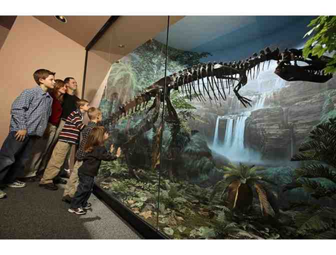 History Arts and Culture in the City, 4 Museums Package