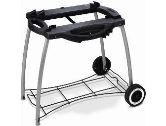 Q220 Portable Weber Gas Grill with Stand