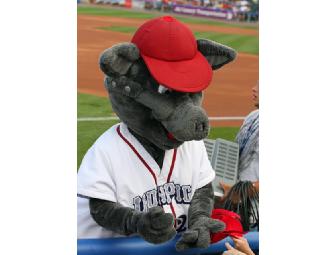 4 Premium Seats Behind Home Plate for Lehigh Valley IronPigs