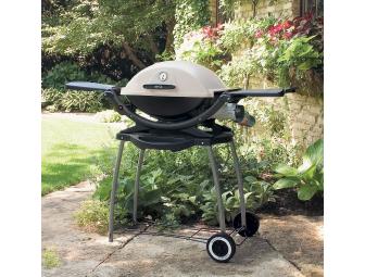 Weber Q-220 Portable Gas Grill with Stand
