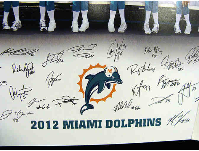 Miami Dolphins Team Fan Pack