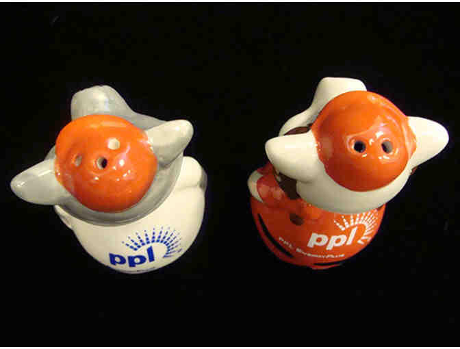 IronPigs Limited Edition SGA FeRROUS & FeFe Salt & Pepper Shaker Set