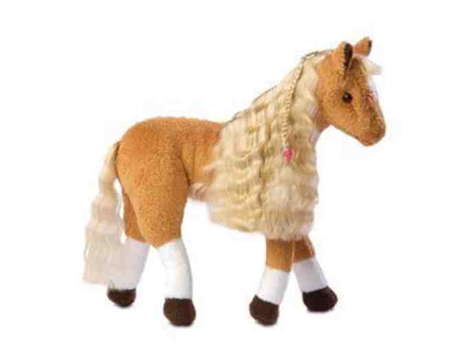 Open Hearts Horse & Pony Club Stable & Tack Room