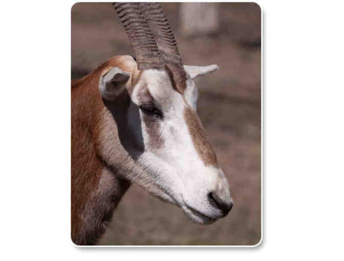 Lehigh Valley Zoo Family Four Pack Admission