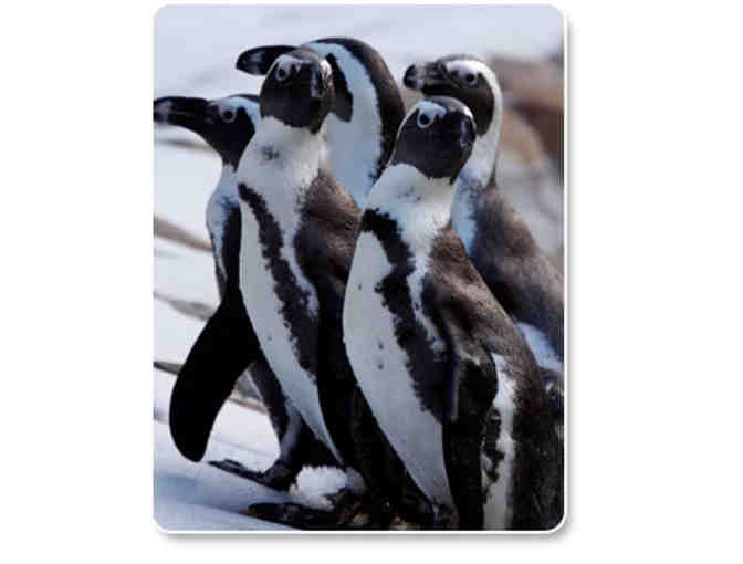 Lehigh Valley Zoo Family Four Pack Admission