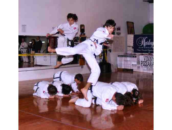 One Month of Martial Arts Instruction