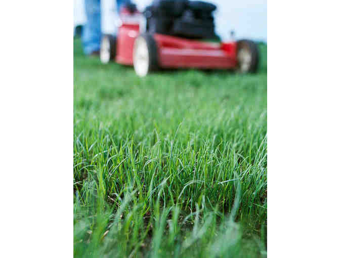 Lawn Care Program up to $300 with Moyer Indoor/Outdoor