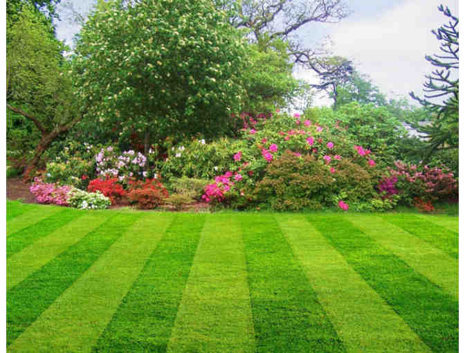 Lawn Care Program up to $300 with Moyer Indoor/Outdoor