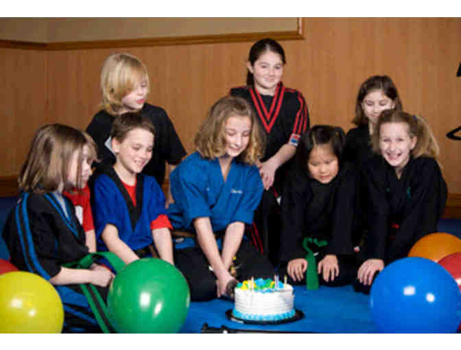 Action Karate Birthday Party in Souderton, PA