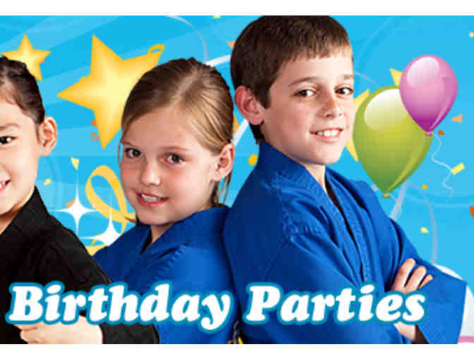 Action Karate Birthday Party in Souderton, PA