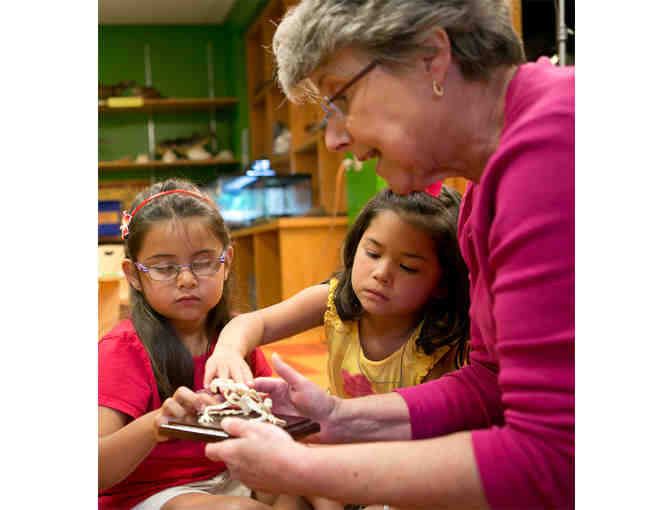 Lancaster Family Fun and Overnight Package